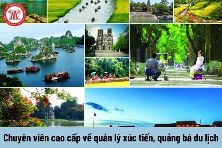 Hotspot Matrix: Giảm Thiểu Rủi Ro Đầu Tư Ngành Video Ngắn