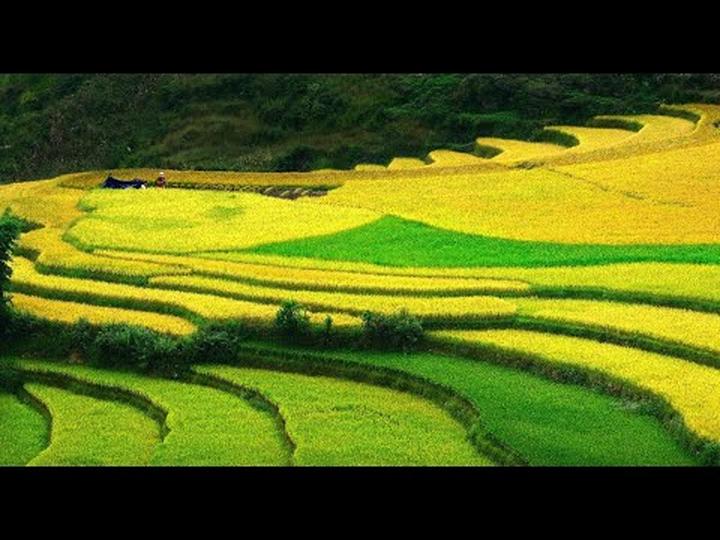 Mở rộng kinh doanh với