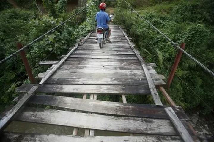 Video ngắn: Cánh đồng lời kể, nông sản sạch