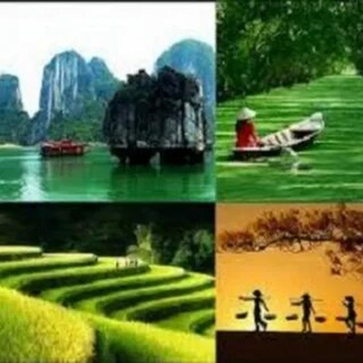 Từ Chiếc quần
