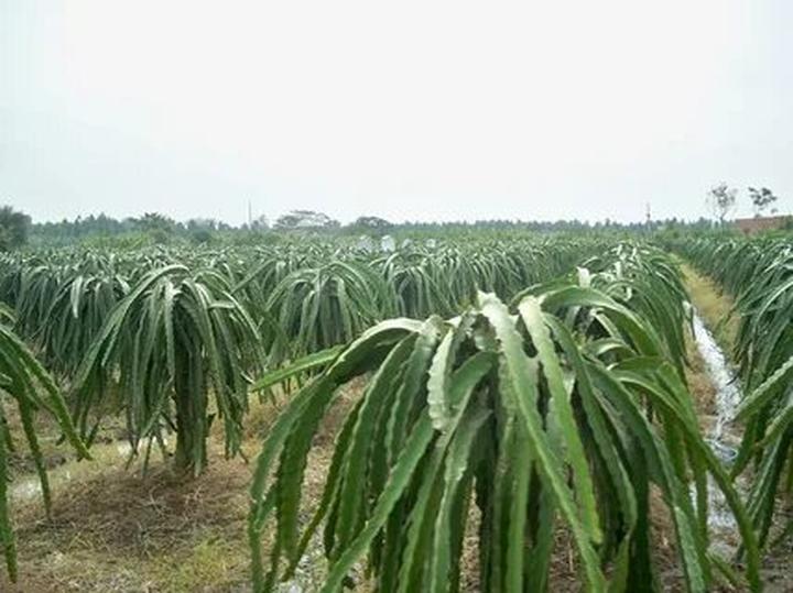 - Tận dụng công nghệ AI: Công nghệ AI có thể giúp các nhà sáng tạo tạo ra nội dung