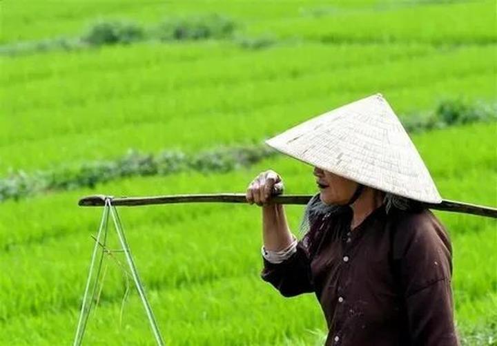 Hotspot Matrix: Xây dựng Chuỗi Cung Ứng Mạnh Mẽ, Thúc Đẩy Sản Xuất Nội Dung Video Ngắn