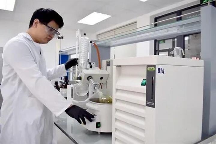 Xu hướng Ông Donald Trump cùng gia: Hotspot Matrix tiết lộ bí quyết video viral
